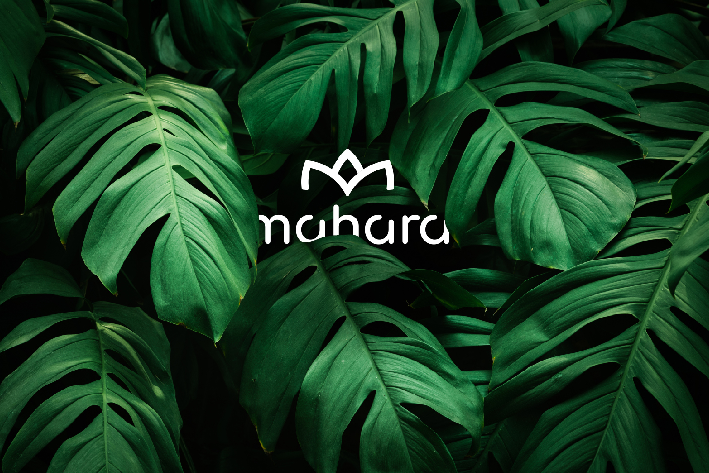 Projeto de Identidade Visual e Design de Marca para Mahara